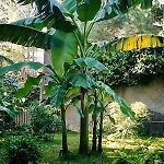 ホテル Il Giardino Di Giulia 2