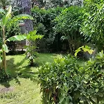 Il Giardino Di Giulia 2 3* ローマ