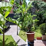Il Giardino Di Giulia 2 3* ローマ