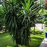 Il Giardino Di Giulia 2 3* Řím