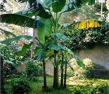Otel Il Giardino Di Giulia 2