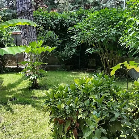 Otel Il Giardino Di Giulia 2