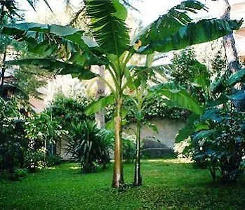 Il Giardino Di Giulia 2 3* Rome