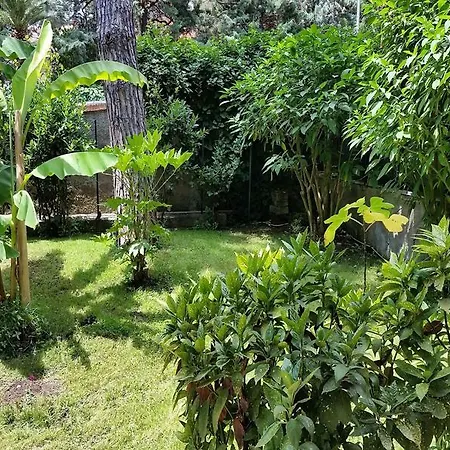 Il Giardino Di Giulia 2 3* Rome