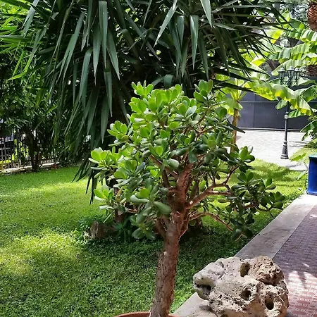 Il Giardino Di Giulia 2 Hotel 3*