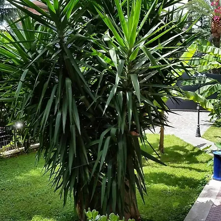 Il Giardino Di Giulia 2 3* Rome