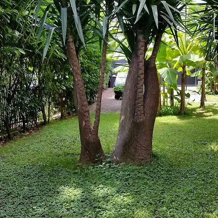 Il Giardino Di Giulia 2 3* Roma