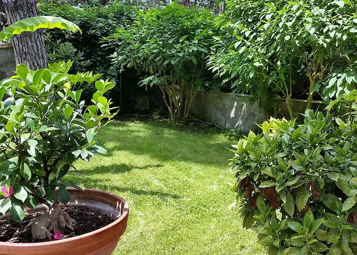Il Giardino Di Giulia 2