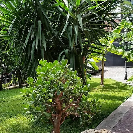 فندق Il Giardino Di Giulia 2