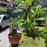 Hotel Il Giardino Di Giulia 2