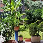 Il Giardino Di Giulia 2 Hotel